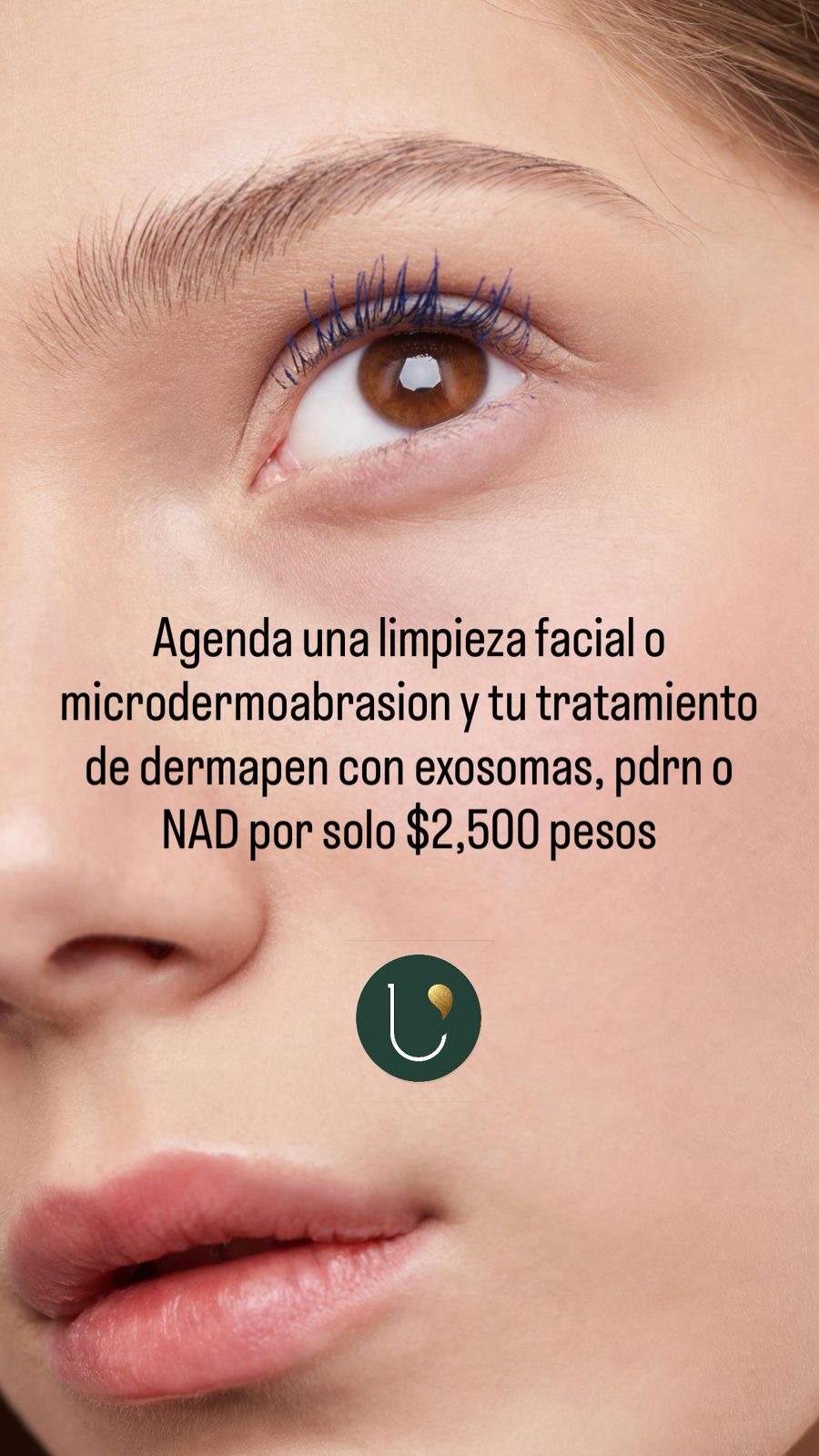 Limpieza facial premium